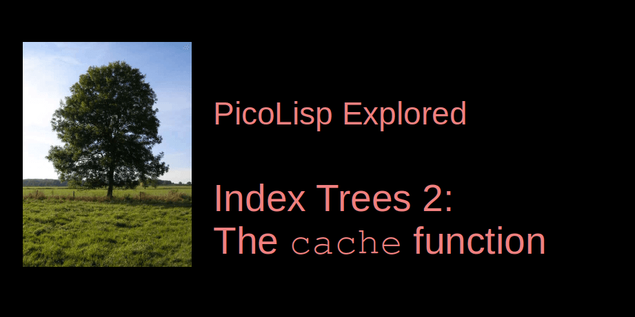 PicoLisp Explored: The cache function