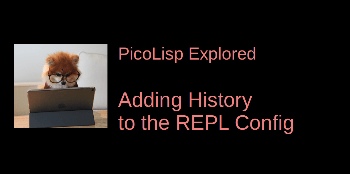 How to Add History to the REPL Config File