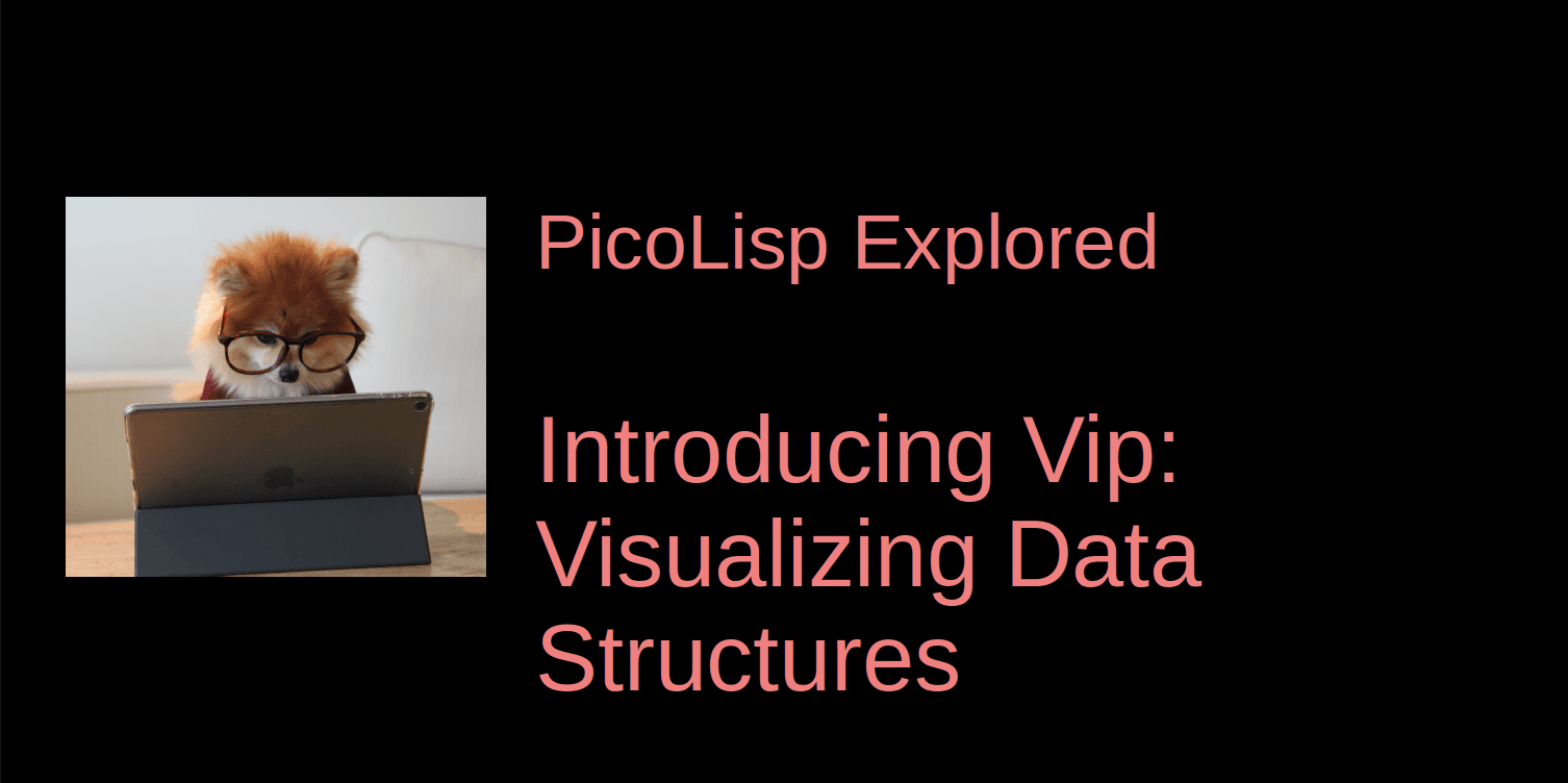 Visualizing Data Structures with Vip