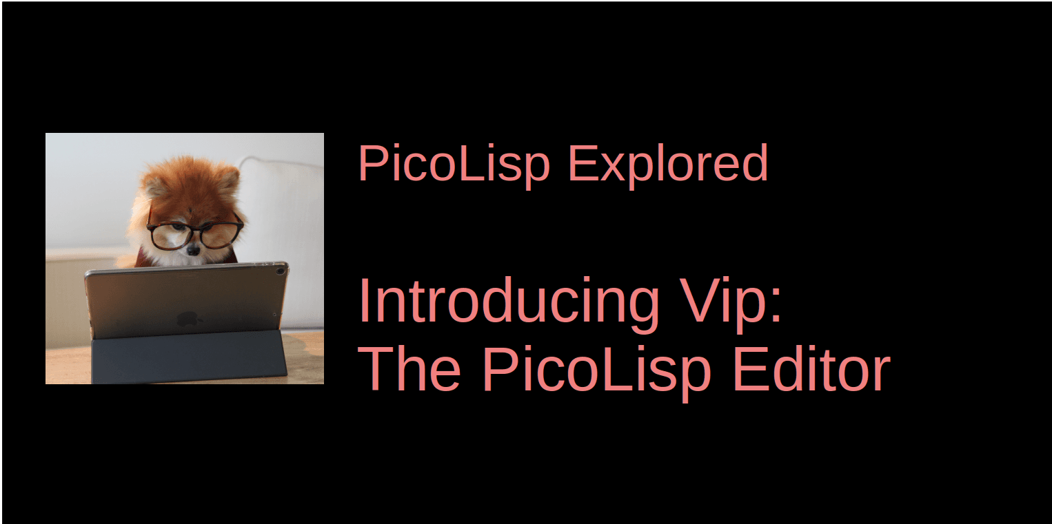 Introduction to Vip - An Editor For PicoLisp Development