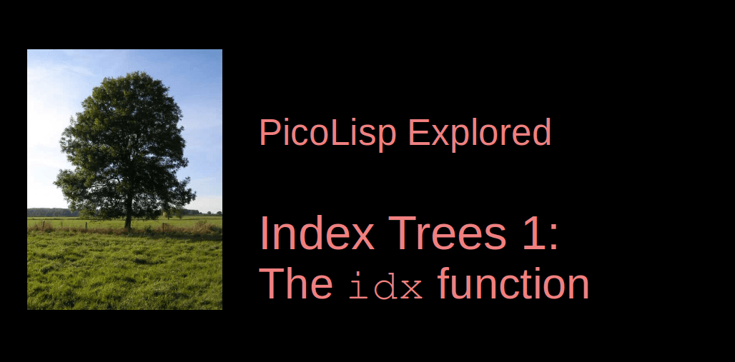 PicoLisp Explored: The idx function